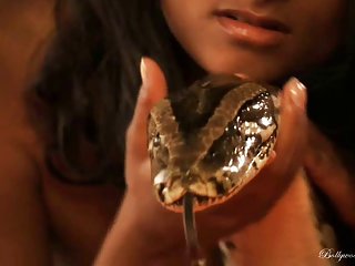 अश्लील ट्यूब खोज साँप के साथ नृत्य नृत्य